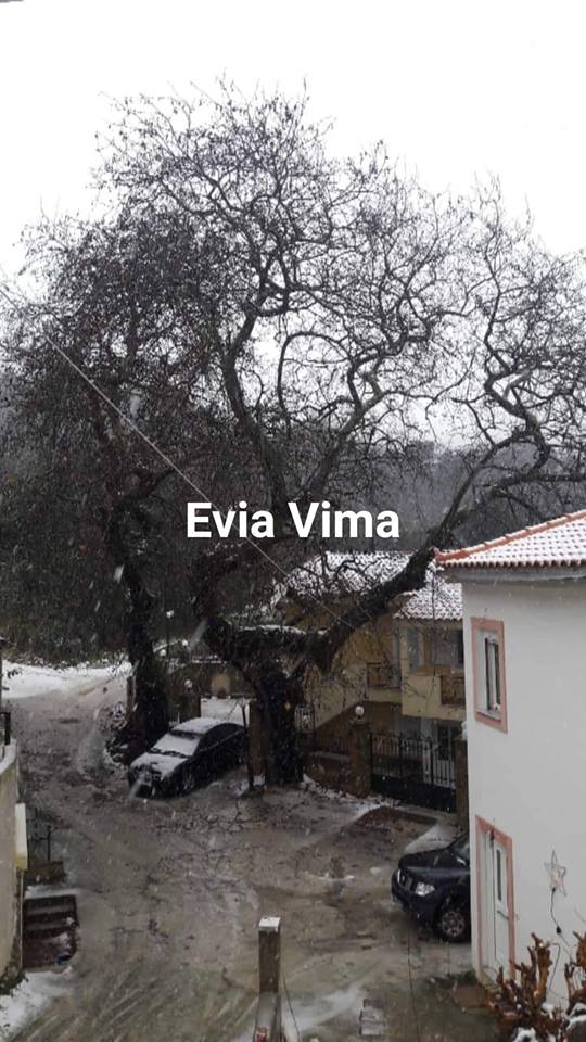 Χιόνισε και στην Οκτωνιά