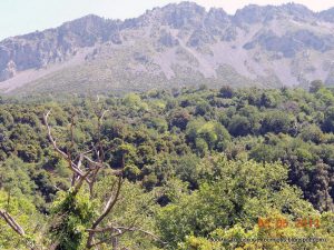 Απίστευτο-Χρυσοθήρες κατέστρεψαν μνημείο στο Μετόχι