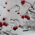 Έκτακτα μέτρα για την προστασία των αστέγων από τις χαμηλές θερμοκρασίες στον Δήμο Αθηναίων