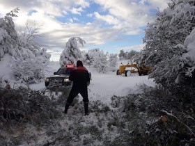 Πρωινή περιπολία από την Αμαρύνθια Άρτεμις