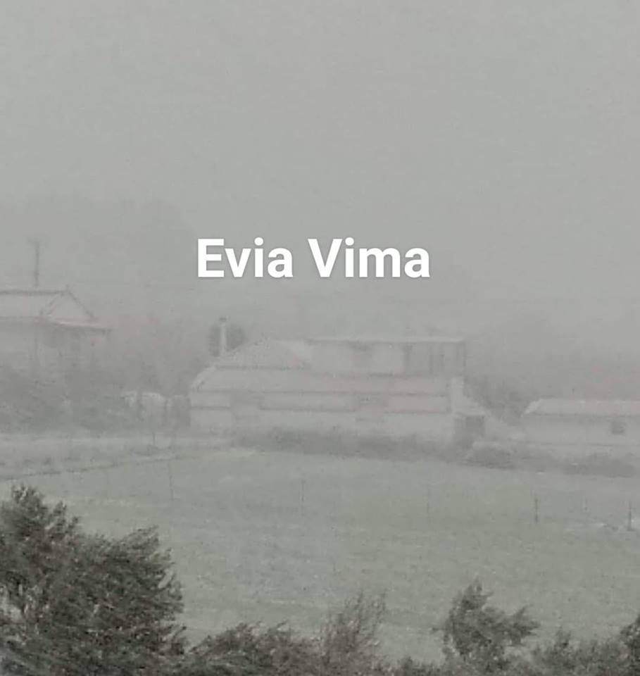 Πυκνή χιονόπτωση αυτή την ώρα στα Κριεζά Ευβοίας-ΦΩΤΟ