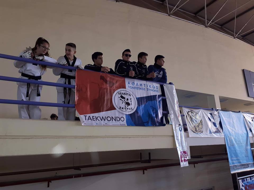 Στο 2ο Batman Festival συμμετείχε ο Σύλλογος Taekwondo “ΠΕΛΑΣΓΟΙ” ΣΚΥΡΟΣ