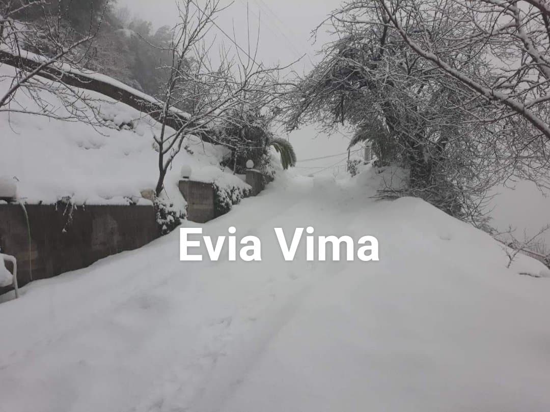 Εύβοια-Χιονοθύελλα στο χωριό Κούτουρλας-ΦΩΤΟ