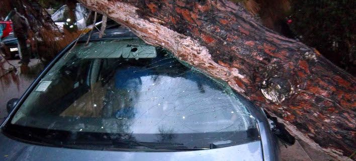 Νέα Σμύρνη: Έπεσε δέντρο από τον αέρα και καταπλάκωσε 12 οχήματα