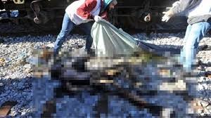 Ανεύρεση πτώματος στην περιοχή του Κάστρου Βοιωτίας