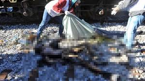 Ανεύρεση πτώματος στην περιοχή του Κάστρου Βοιωτίας