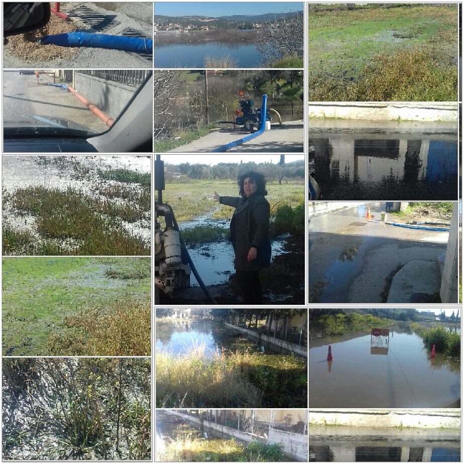 Η υποψήφια δήμαρχος Ελένη Μιτζιφίρη στις πληγείσες περιοχές του Δήμου Χαλκίδας