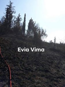 Υπό έλεγχο η φωτιά που ξέσπασε στην Αγία Θέκλα Αυλωναρίου