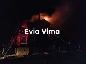 Αποκλειστικές φωτογραφίες από τη φωτιά σε ξύλινη κατοικία στην Ερέτρια