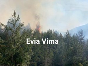 Σε εξέλιξη η φωτιά στο Βιταλο – ΦΩΤΟ