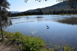 Υποβολή αιτήσεων αποζημίωσης από όσους επλήγησαν από τα πλημμυρικά φαινόμενα στη Δημοτική Ενότητα Χαλκίδας