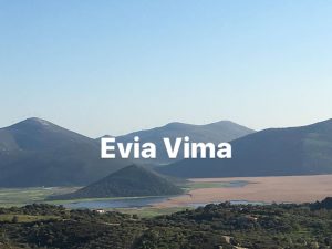 Έτσι είναι σήμερα η λίμνη του Δύστου-ΦΩΤΟ