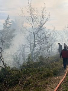 Σε εξέλιξη η φωτιά στις Μηλιές στη Βόρεια Εύβοια -ΦΩΤΟ