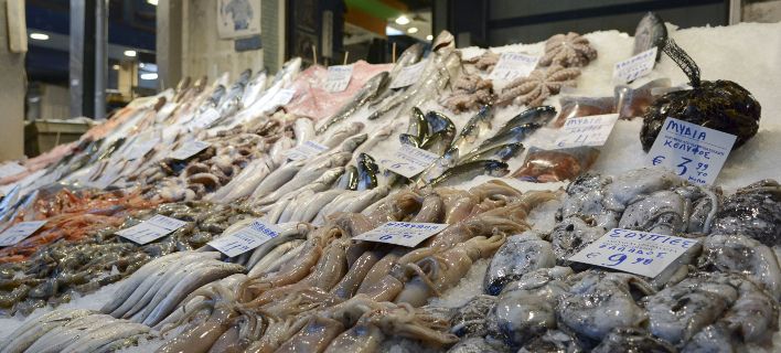 Οι συμβουλές του ΕΦΕΤ: Τι πρέπει να προσέξετε αγοράζοντας χταπόδια, καλαμάρια, οστρακοειδή και άλλα σαρακοστιανά