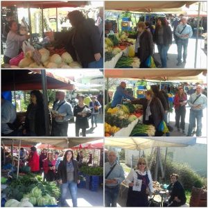 Στη Δημοτική Ενότητα Ανθηδώνας η Μιτζιφίρη