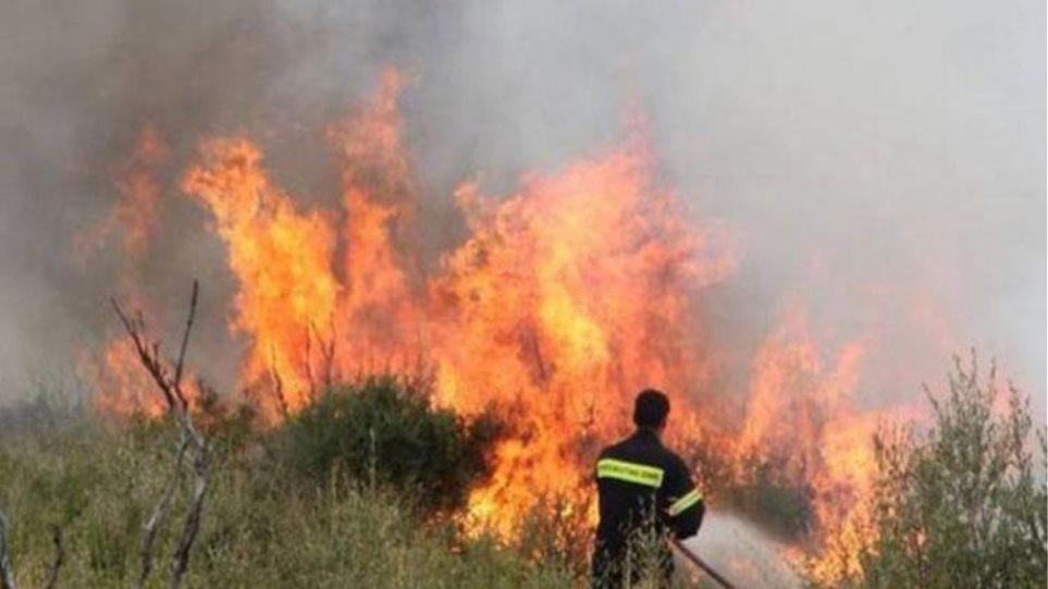 ΣΚΙΑΘΟΣ: Υπό τον πλήρη έλεγχο της Πυροσβεστικής το μέτωπο στα ορεινά της θέσης Τρούλος
