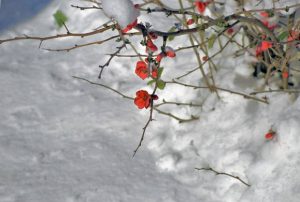 Καιρός-Νέα επιδείνωση με χιόνια και καταιγίδες