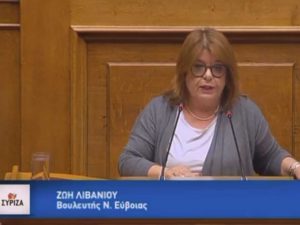 Ζωή Λιβανίου: «Η κυβέρνηση προχωρά το ζήτημα της αντιμετώπισης των φαινομένων διάβρωσης στην Αυλίδα»
