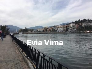 Δύο δελφίνια στην παραλία της Χαλκίδας-ΒΙΝΤΕΟ Δύο δελφίνια στην παραλία της Χαλκίδας-ΒΙΝΤΕΟ
