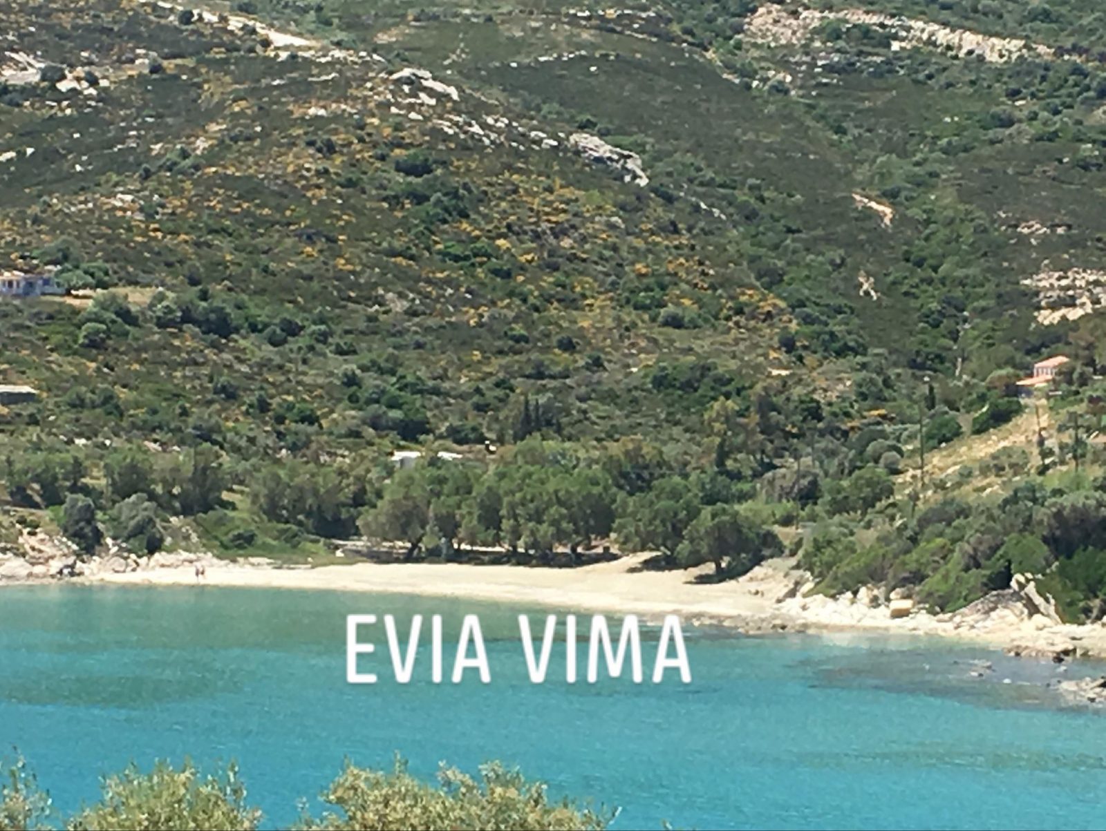 Για μπάνιο μετά την κάλπη-Ονειρεμένες παραλίες στην Εύβοια-ΦΩΤΟ