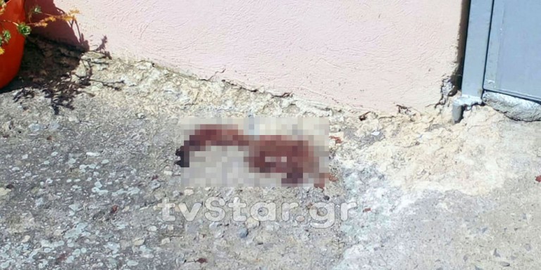 Δίνει μάχη για τη ζωή της η 8χρονη  Αλεξία-Συγνώμη του 54χρονου