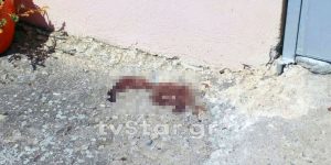 Δίνει μάχη για τη ζωή της η 8χρονη  Αλεξία-Συγνώμη του 54χρονου
