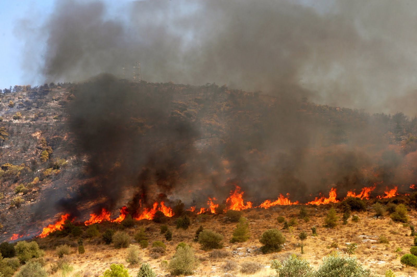 Λαμία: Συναγερμός για πυρκαγιά δίπλα σε σπίτια-Μεγάλη κινητοποίηση της Πυροσβεστικής [photos]