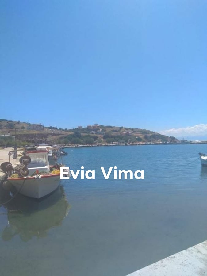 Το eviavima στο γραφικό λιμάνι των Αγίων Αποστόλων-ΒΙΝΤΕΟ
