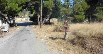 Δήμος Χαλκιδέων-Πυροπροστασία 2019-Υποχρεώσεις ιδιοκτητών οικοπέδων