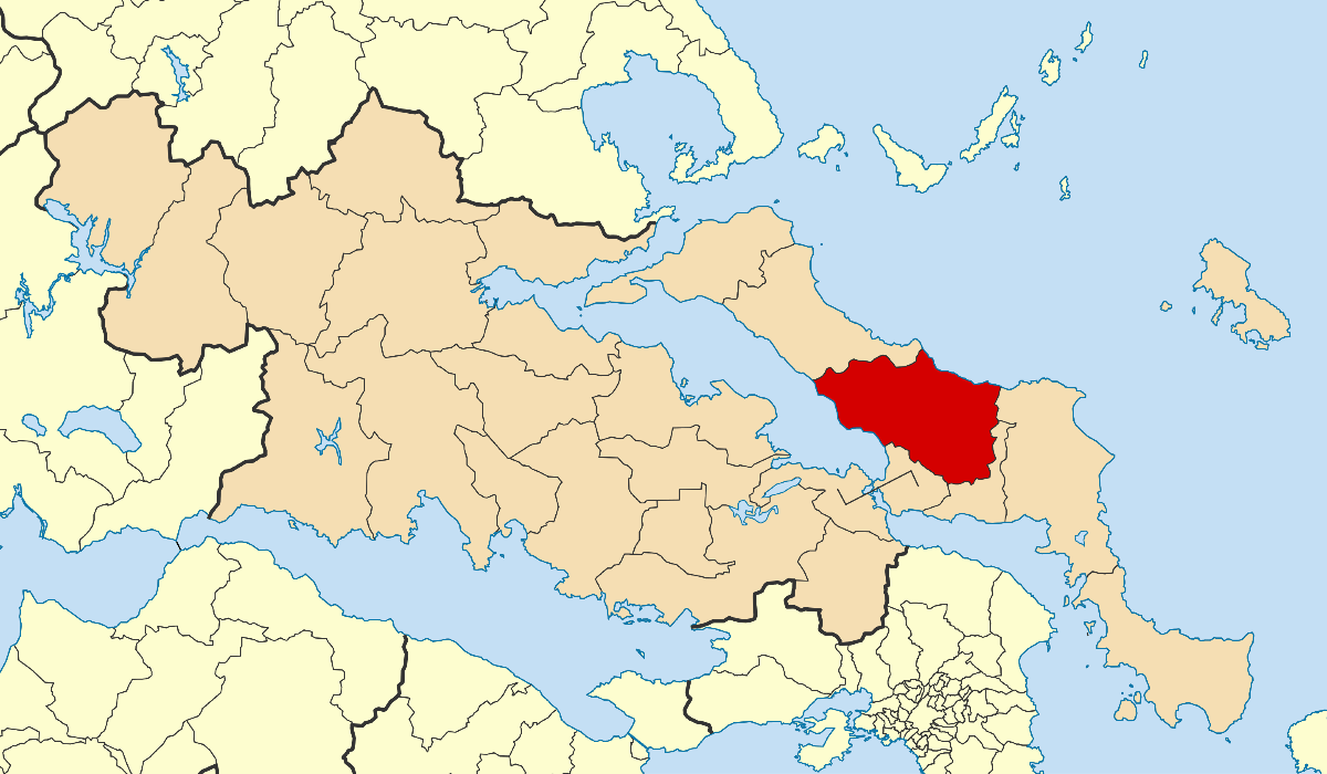 Αυτά είναι τα τελικά αποτελέσματα για το Δήμο Διρφύων-Μεσσαπίων σύμφωνα με το Πρωτοδικείο