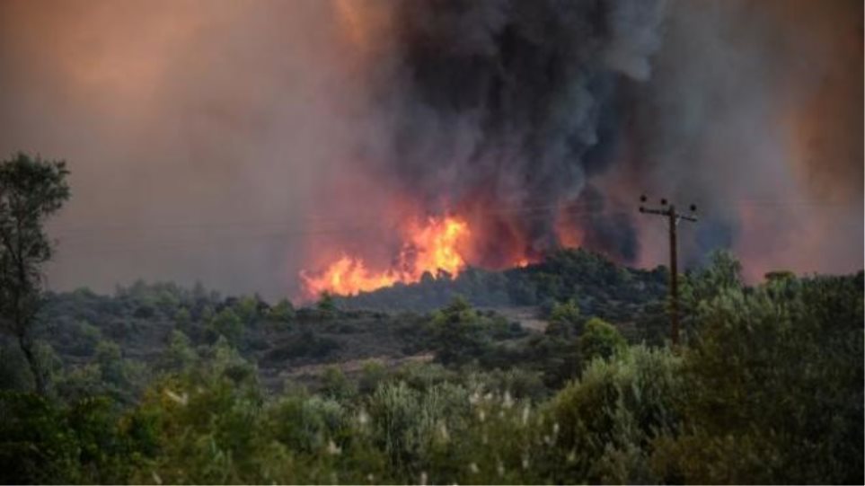 Φωτιά στο Τραχήλι Ευβοίας