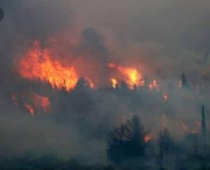 Μεγάλη φωτιά στον Αετό Καρύστου