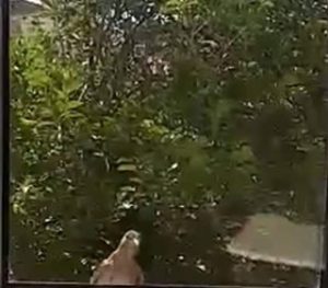 Τι συνέβη στη Ματίνα Ρέτσα λίγο πριν την εκπομπή της στον kosmos fm 100-ΒΙΝΤΕΟ