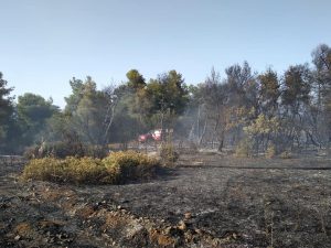 Υπό έλεγχο τέθηκε η φωτιά στον Πισσώνα [ΦΩΤΟ]