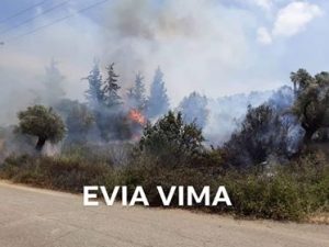 Αποκλειστικές φωτογραφίες ΕviaVima-Πυρκαγιά στο Κοίλι