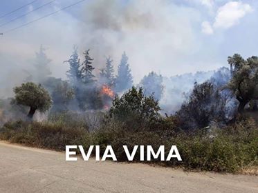 Αποκλειστικές φωτογραφίες ΕviaVima-Πυρκαγιά στο Κοίλι