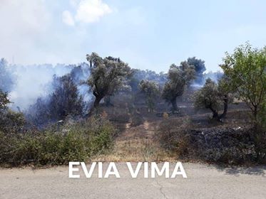 Υπό έλεγχο η πυρκαγιά στο Κοίλι Μονοδρίου