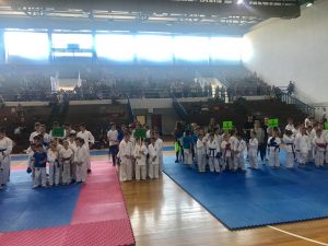 Στην τελετή έναρξης του 15ου κυπέλλου καράτε  Shito Ryu Εύβοιας-Βοιωτίας η νέα Δήμαρχος Δήμου Χαλκιδέων