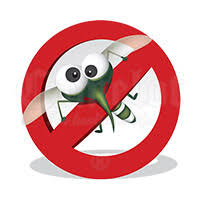 Μάθε ποια είναι τα 4 φυτά που απωθούν αποτελεσματικά τα κουνούπια