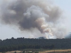 ΕΚΤΑΚΤΗ ΕΙΔΗΣΗ- Ξέσπασε πυρκαγιά στην Εύβοια