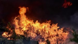 Αθήνα-Μεγάλη φωτιά στο Μαρούσι πίσω από το κτίριο του ΟΤΕ