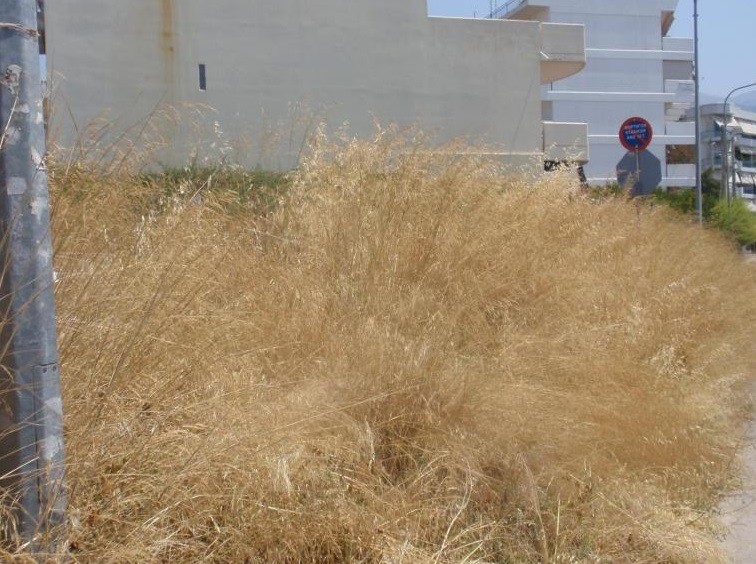 Πυροπροστασία 2019 – Υποχρεώσεις ιδιοκτητών οικοπέδων