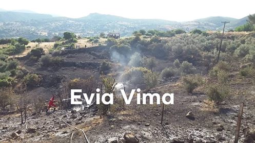 Υπό έλεγχο η φωτιά στο Τραχήλι Ευβοίας-Αποκλειστικές ΦΩΤΟ