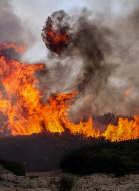 Φωτιά στη βόρεια  Εύβοια