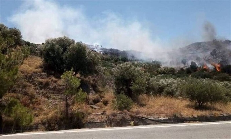 Στην Ιτέα πυρκαγιά σε δασική έκταση
