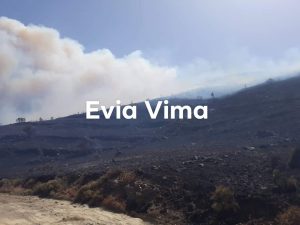 Μαίνεται ανεξέλεγκτη η πυρκαγιά κοντά στα Θαρρούνια-Ισχυρές πυροσβεστικές δυνάμεις στην περιοχή