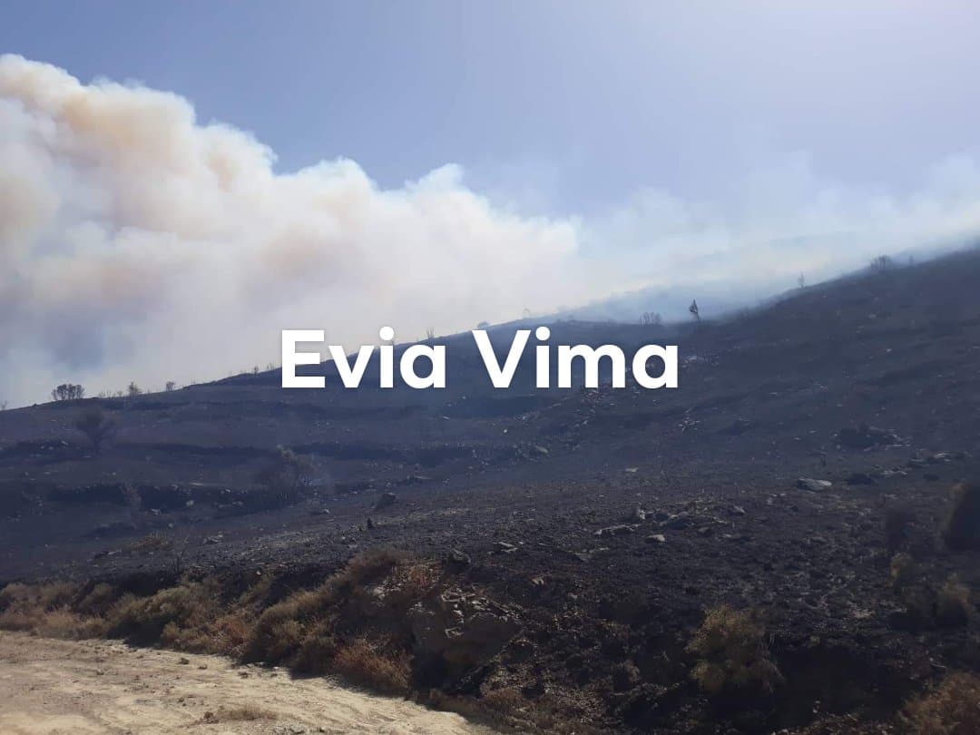 Μαίνεται ανεξέλεγκτη η πυρκαγιά κοντά στα Θαρρούνια-Ισχυρές πυροσβεστικές δυνάμεις στην περιοχή