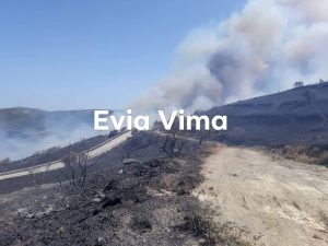 Εύβοια: 63χρονος Έλληνας, κατά συρροή εμπρηστής, κυκλοφορούσε ελεύθερος