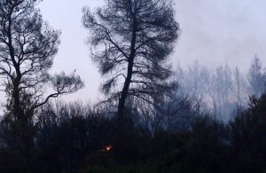 Καλύτερη είναι η κατάσταση με την φωτιά στη Τανάγρα