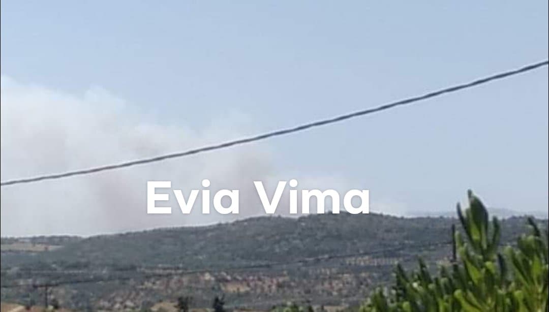 Οι πρώτες εικόνες από τη μεγάλη φωτιά σε Μακρυχώρι-Μανίκια-Ισχυροί άνεμοι στην περιοχή
